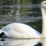 1609F 073 Spree und Havel